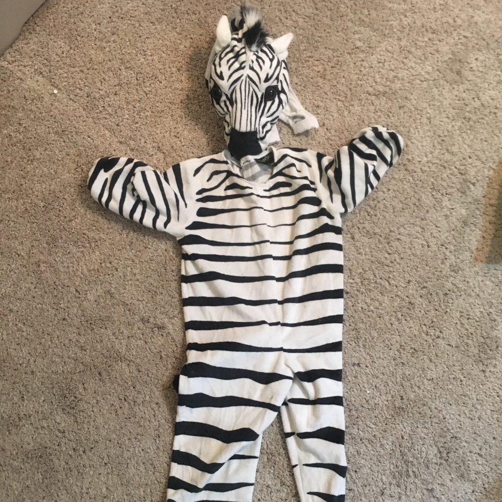 Zebra costume - Used but in Excellent Condition